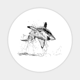 Great White Shark Ink Drawing Magnet